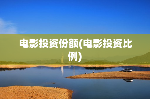 电影投资份额(电影投资比例)