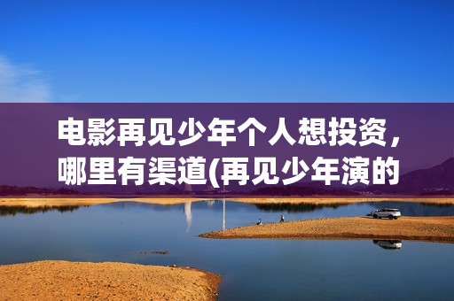 电影再见少年个人想投资，哪里有渠道(再见少年演的啥)