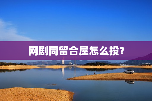网剧同留合屋怎么投？