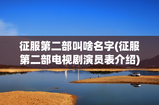 征服第二部叫啥名字(征服第二部电视剧演员表介绍)