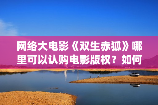 网络大电影《双生赤狐》哪里可以认购电影版权？如何投(有个电影叫什么双)