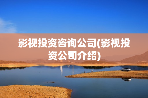 影视投资咨询公司(影视投资公司介绍)