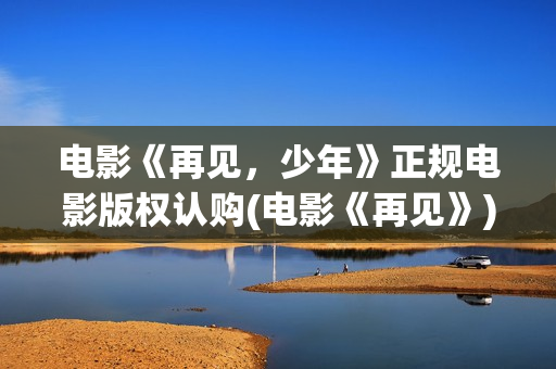 电影《再见，少年》正规电影版权认购(电影《再见》)