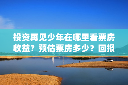 投资再见少年在哪里看票房收益？预估票房多少？回报率(再见少年个人投资真实吗)