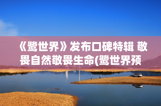 《鹭世界》发布口碑特辑 敬畏自然敬畏生命(鹭世界预告片)