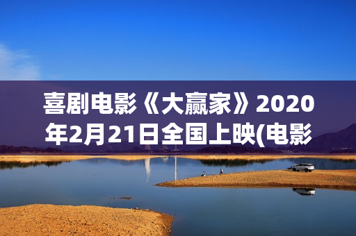 喜剧电影《大赢家》2020年2月21日全国上映(电影大赢家在线播放)