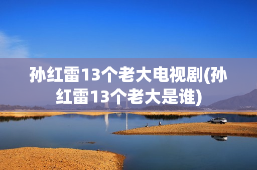 孙红雷13个老大电视剧(孙红雷13个老大是谁) 孙红雷13个老大电视剧(孙红雷13个老大是谁)