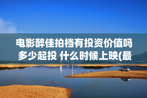 电影醉佳拍档有投资价值吗 多少起投 什么时候上映(最佳拍档之醉街拍档1997粤语)