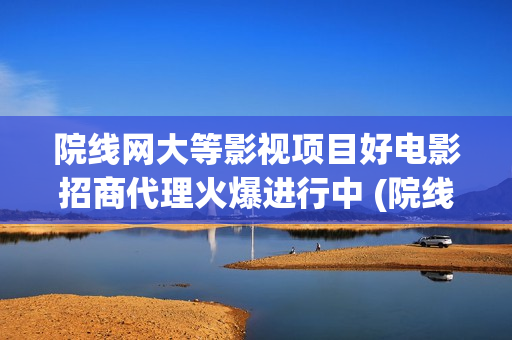 院线网大等影视项目好电影招商代理火爆进行中 (院线 网大)