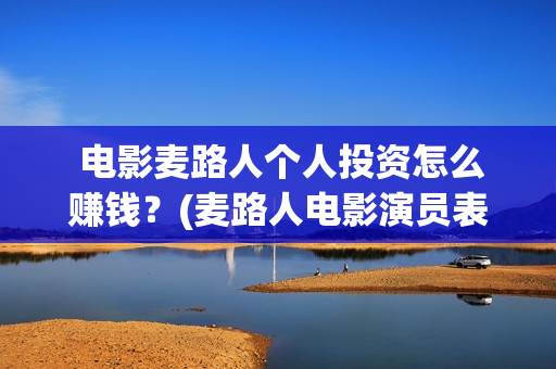  电影麦路人个人投资怎么赚钱？(麦路人电影演员表)