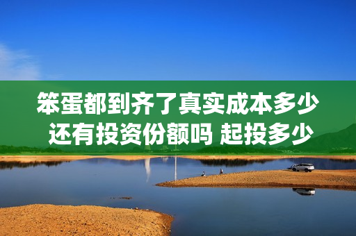 笨蛋都到齐了真实成本多少 还有投资份额吗 起投多少(笨蛋下一句是什么)
