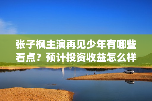 张子枫主演再见少年有哪些看点？预计投资收益怎么样？(张子枫再见少年剧照)