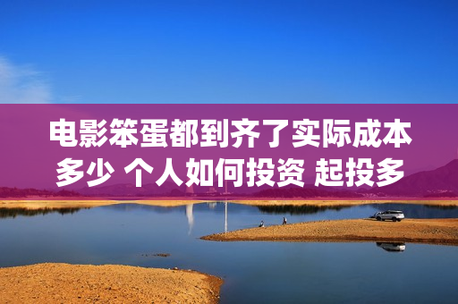 电影笨蛋都到齐了实际成本多少 个人如何投资 起投多少(请问笨蛋)