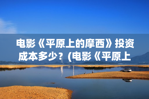 电影《平原上的摩西》投资成本多少？(电影《平原上的火焰》豆瓣评分)