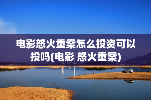 电影怒火重案怎么投资可以投吗(电影 怒火重案)