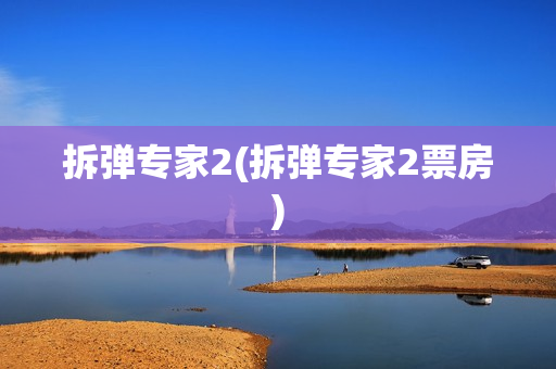 拆弹专家2(拆弹专家2票房)