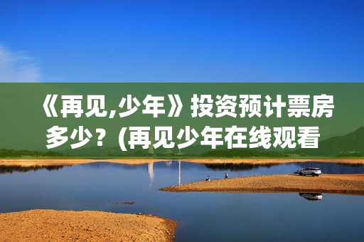 《再见,少年》投资预计票房多少？(再见少年在线观看免费完整版)