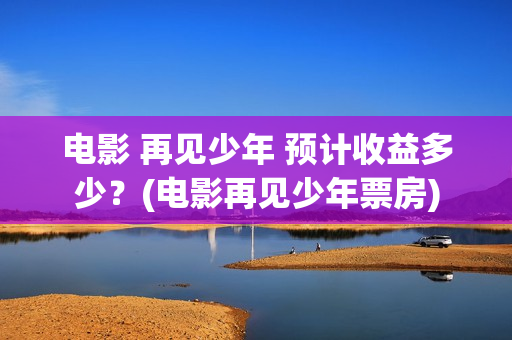 电影 再见少年 预计收益多少？(电影再见少年票房)