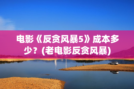 电影《反贪风暴5》成本多少？(老电影反贪风暴)