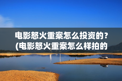 电影怒火重案怎么投资的？(电影怒火重案怎么样拍的)