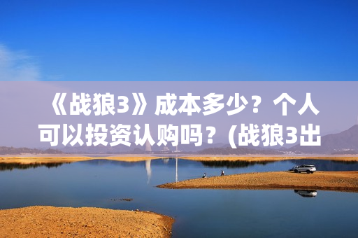《战狼3》成本多少？个人可以投资认购吗？(战狼3出品公司)