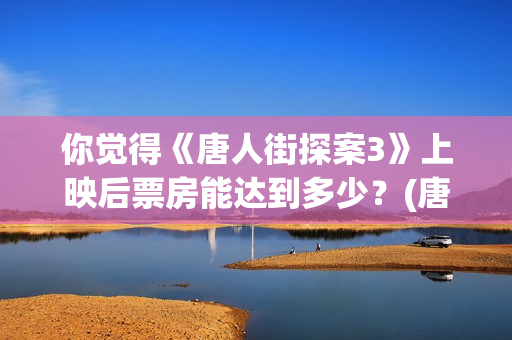 你觉得《唐人街探案3》上映后票房能达到多少？(唐人街讲的什么意思)