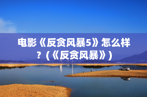 电影《反贪风暴5》怎么样？(《反贪风暴》)