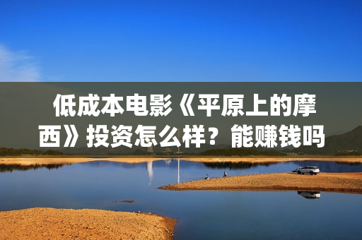 低成本电影《平原上的摩西》投资怎么样？能赚钱吗？(低成本高口碑电影)