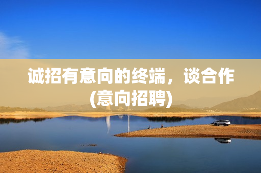 诚招有意向的终端，谈合作(意向招聘)