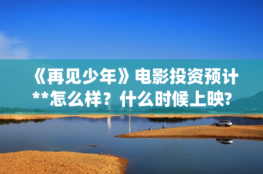 《再见少年》电影投资预计**怎么样？什么时候上映? (再见少年是什么电影)