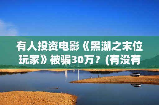 有人投资电影《黑潮之末位玩家》被骗30万？(有没有被电影投资上当)