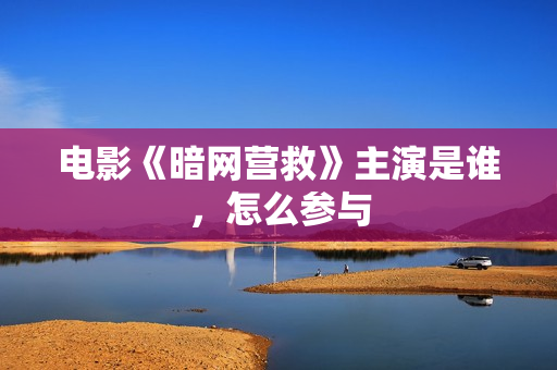 电影《暗网营救》主演是谁，怎么参与