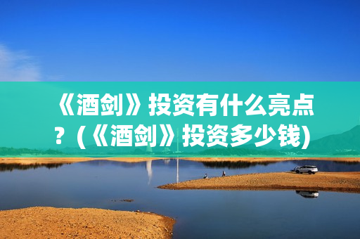  《酒剑》投资有什么亮点？(《酒剑》投资多少钱)