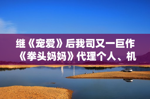 继《宠爱》后我司又一巨作《拳头妈妈》代理个人、机构等资方对接合作(《过后宠爱》)