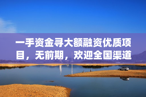 一手资金寻大额融资优质项目，无前期，欢迎全国渠道对接，酬丰！(一手资金是什么意思)