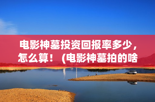 电影神墓投资回报率多少，怎么算！ (电影神墓拍的啥玩意)