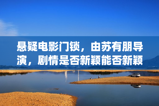 悬疑电影门锁，由苏有朋导演，剧情是否新颖能否新颖消费者观看？ (门锁悬疑片)