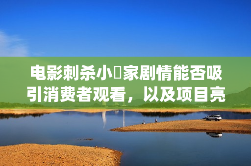 电影刺杀小説家剧情能否吸引消费者观看，以及项目亮点跟投资风险？ (电影刺杀小说家2免费观看)