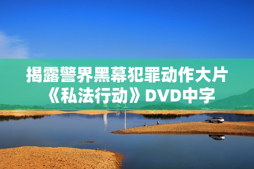 揭露警界黑幕犯罪动作大片《私法行动》DVD中字 揭露警界黑幕犯罪动作大片《私法行动》DVD中字