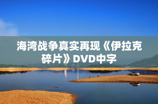 海湾战争真实再现《伊拉克碎片》DVD中字