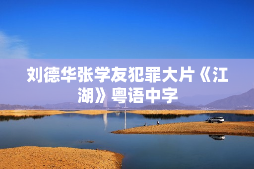 刘德华张学友犯罪大片《江湖》粤语中字 刘德华张学友犯罪大片《江湖》粤语中字