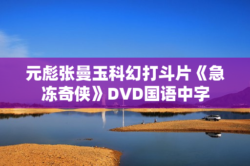 元彪张曼玉科幻打斗片《急冻奇侠》DVD国语中字