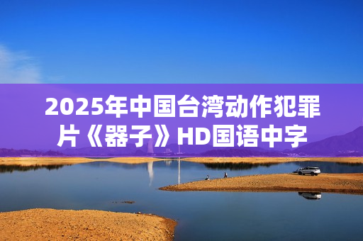 2025年中国台湾动作犯罪片《器子》HD国语中字