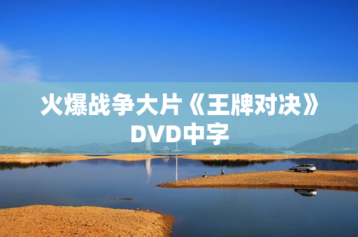 火爆战争大片《王牌对决》DVD中字 火爆战争大片《王牌对决》DVD中字