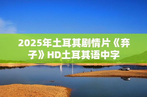 2025年土耳其剧情片《弃子》HD土耳其语中字 2025年土耳其剧情片《弃子》HD土耳其语中字