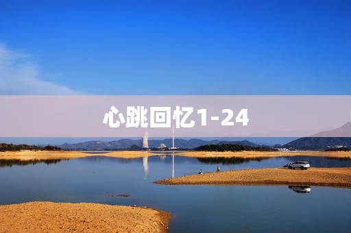 心跳回忆1-24