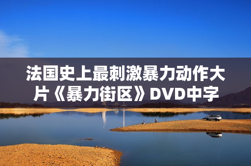 法国史上最刺激暴力动作大片《暴力街区》DVD中字