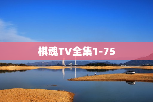 棋魂TV全集1-75 棋魂TV全集1-75