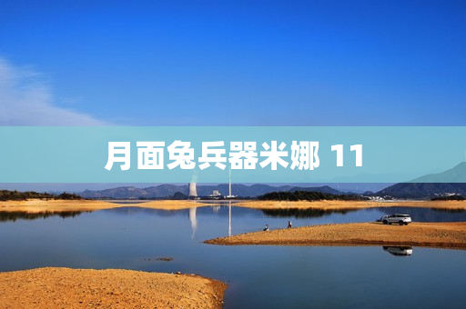 月面兔兵器米娜 11
