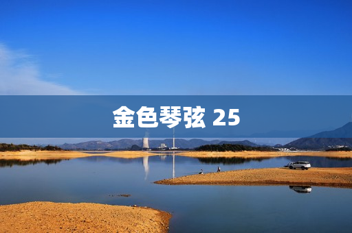 金色琴弦 25